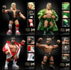 **PRE ORDER* Complete Set of 4 Wrestling Megastars Series 4 Ric Flair Windham Barbarian Steve Willia