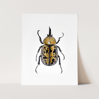 Image 1 of Hercules Beetle Watercolor Illustration PRINT