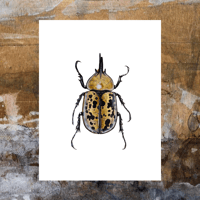 Image 3 of Hercules Beetle Watercolor Illustration PRINT