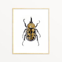 Image 2 of Hercules Beetle Watercolor Illustration PRINT