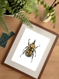 Image 4 of Hercules Beetle Watercolor Illustration PRINT