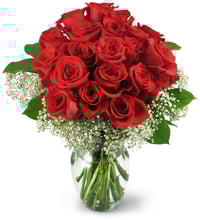 Classic Red -  Two Dozen