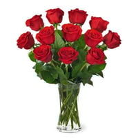 Classic Red - One Dozen