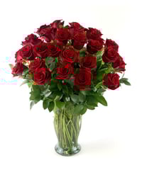 Classic Red - Three Dozen