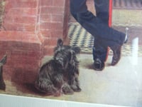 Image 6 of Antique Military Portrait Print, Lt General H J T Hildyard (South Africa) & Dog, in Vintage Frame 