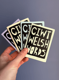 Image 1 of CIWT WELSH WORDS 