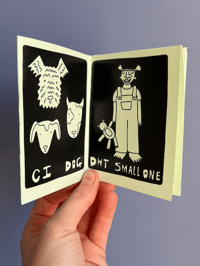 Image 2 of CIWT WELSH WORDS 