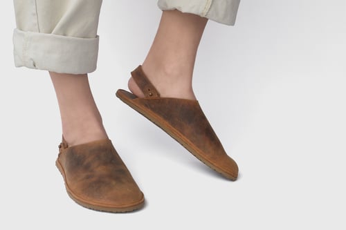 Image of Solis Clogs in Brown