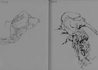 Image 4 of Life, Sean Phillips