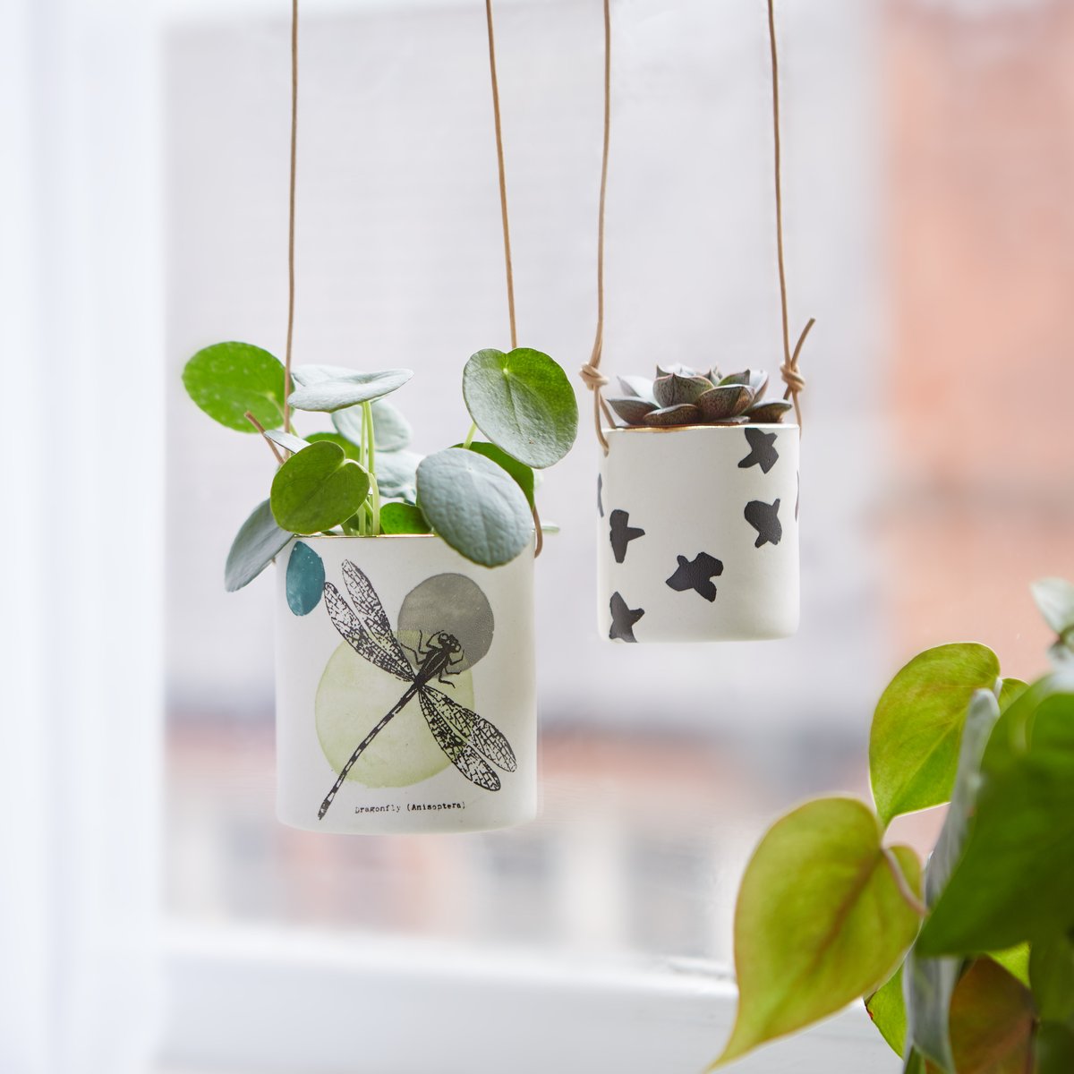 Porcelain dragonfly hanging planter