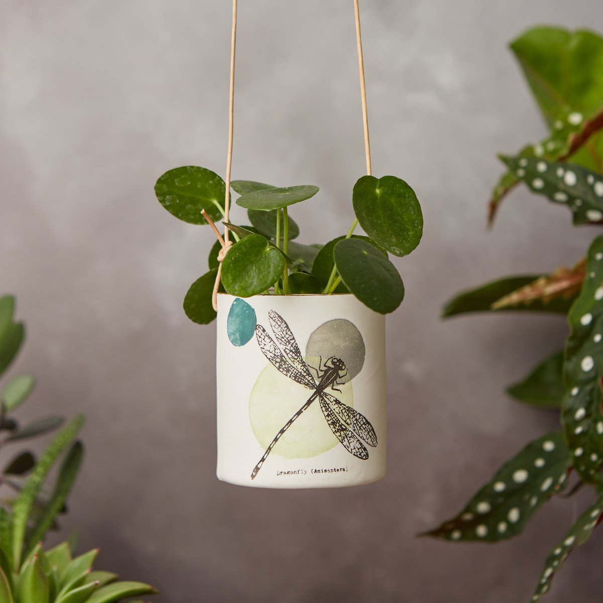 Porcelain dragonfly hanging planter