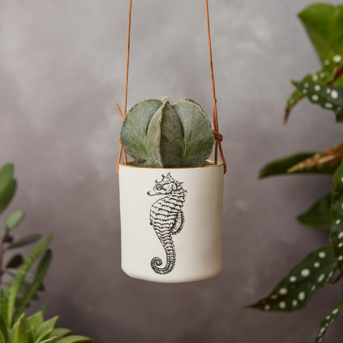 Large porcelain seahorse hanging planter