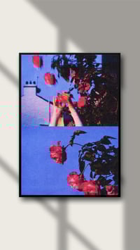 Image 2 of PICK ROSES AT NIGHT IV