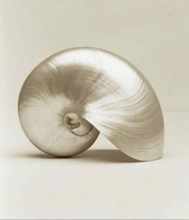 ARCHIVE Sophie collier 200€ - 50% = 100€