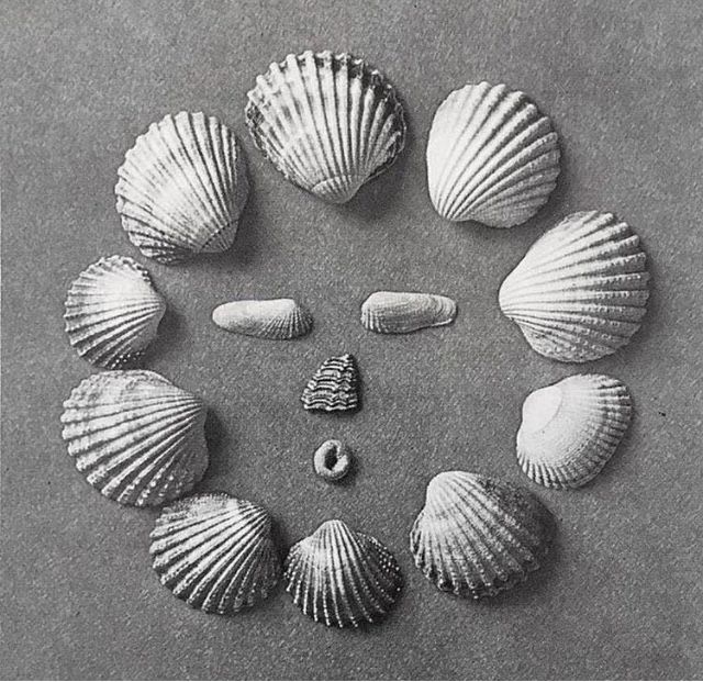 ARCHIVE LIPARI COLLIER 180€ - 50% = 90€ 