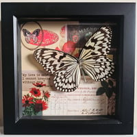 Scrapbook - Paper Kite Butterfly