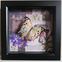 Image 1 of Scrapbook - Forest Mother-of-Pearl Butterfly (Purple)