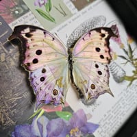 Image 2 of Scrapbook - Forest Mother-of-Pearl Butterfly (Purple)