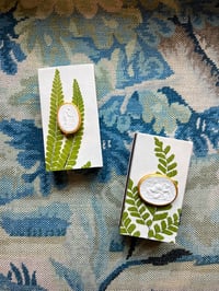 Image 1 of Fern Matches
