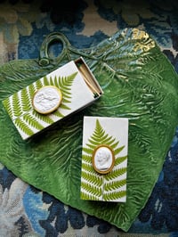 Image 2 of Fern Matches