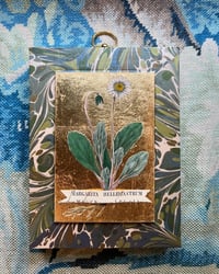 Image 2 of Botanical Spanish Block