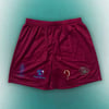 MetaPhysical Mesh Shorts (Maroon #1)