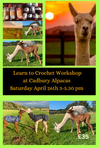 Image 1 of Learn to crochet workshop at Cadbury Alpacas Saturday April 26th 3-5.30 pm