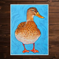 DUCK 1 - 12"x16" Print