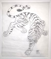 2018 pencil Tiger Study