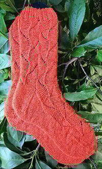 Rostrata Socks Pattern