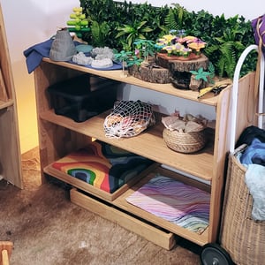 Image of Deep Toy Storage Shelf