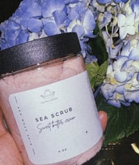 Image 1 of Sea Moss Body Scrubs 