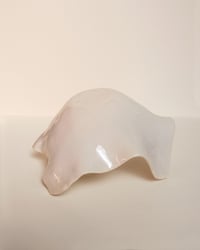 Image 5 of Fuente Organic Sabi 