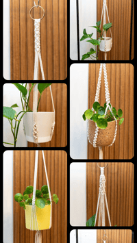 Hand Made Macrame Plant Holder