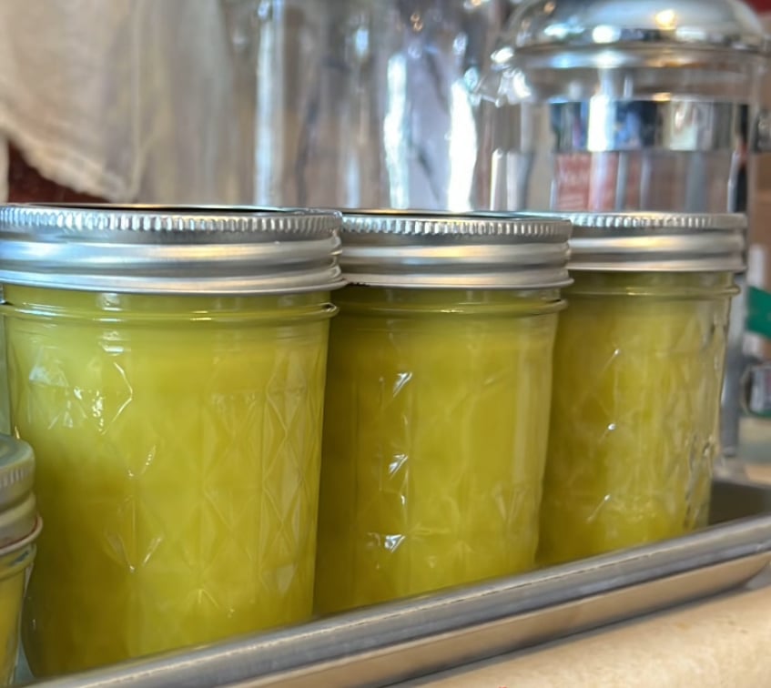 Image of Herbal Salves