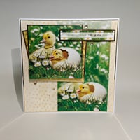 Egg-cellent - Spring Chick