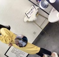 Image 2 of Real Fox Fur Handbag / Crossbody