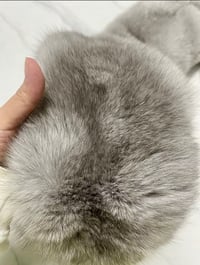 Image 3 of Full Fox Fur Scarf ( Unisex )