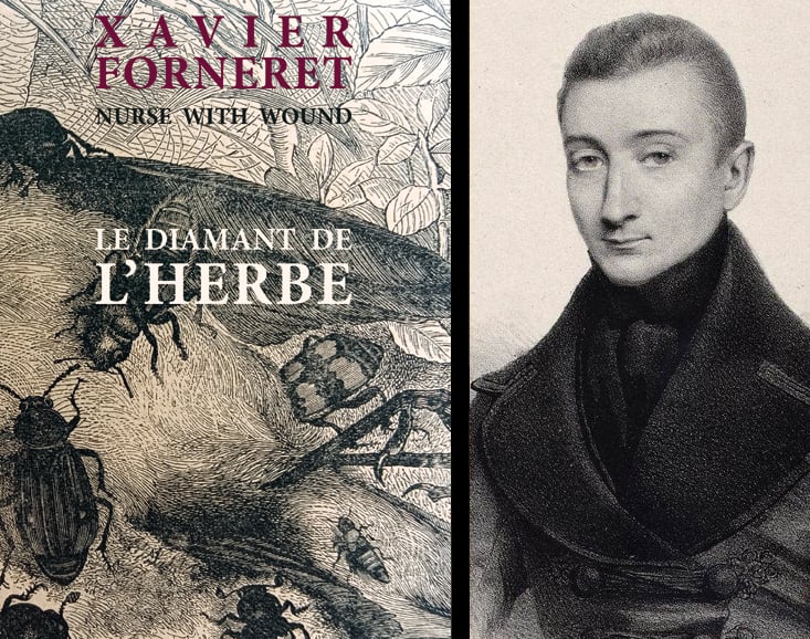 Image of A paraître : Le diamant de l'herbe de Xavier Forneret & Nurse With Wound