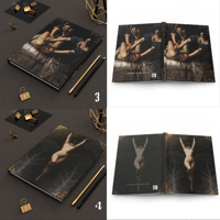 Image 3 of Journals