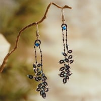 Image 1 of Stargazer