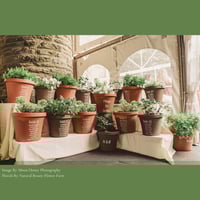 Image 2 of Reception Flowers