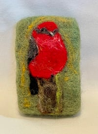 Image 1 of Vermillion Flycatcher & Egg/Nest