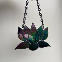 Image 2 of Black Iridized Lotus 