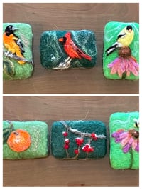 Custom Order: Ontario Bird Species