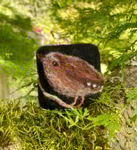 Image 1 of Litte Wren