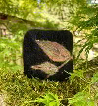 Image 2 of Litte Wren