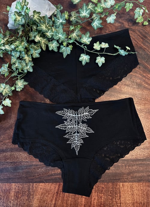 Image of POISON HEMLOCK CHEEKY LACE HIPSTERS