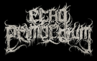 Image 3 of ECHO PRIMORDIUM  “Ex Aether”