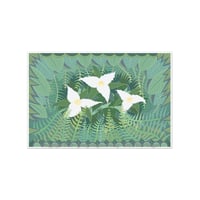 Image 1 of Art Print - Trillium Woods